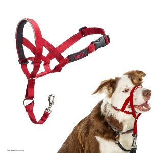 HALTI Headcollar Size 2 Red, UK Bestselling Dog Head Harness to Stop Pulling on the Lead, Easy to Use, Padded Nose Band, Adjustable & Reflective, Professional Anti-Pull Training Aid for Medium Dogs